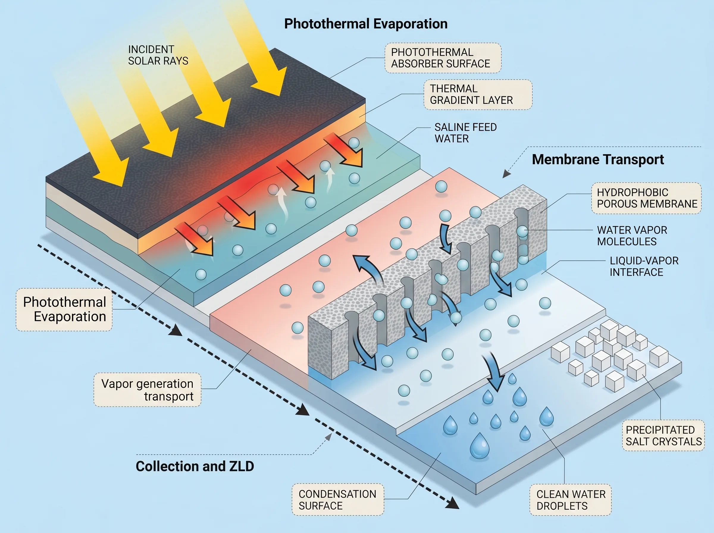 Solar-Driven Membrane Desalination