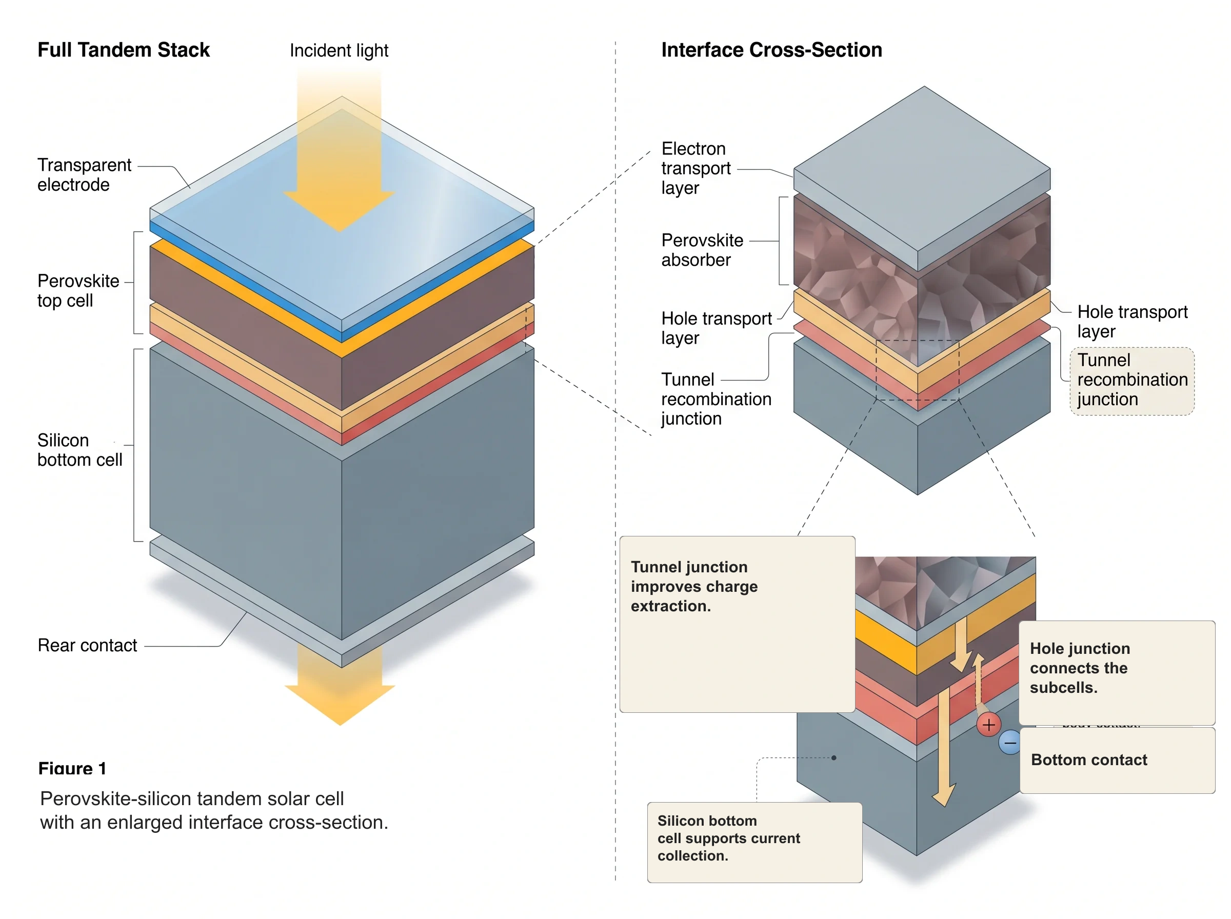 Perovskite Tandem Solar Cell Layer Structure