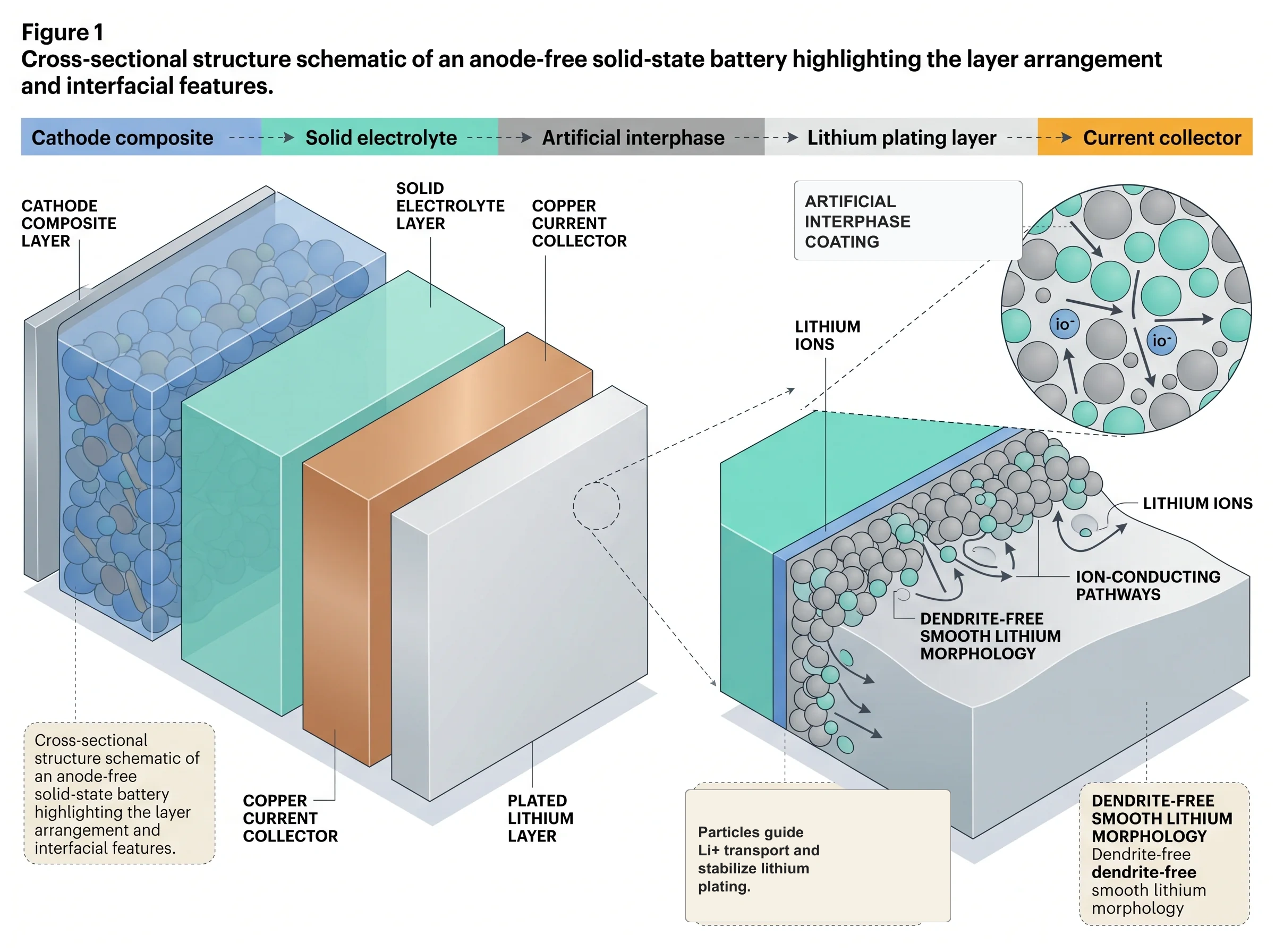 Anode-Free Solid-State Battery Interface Structure