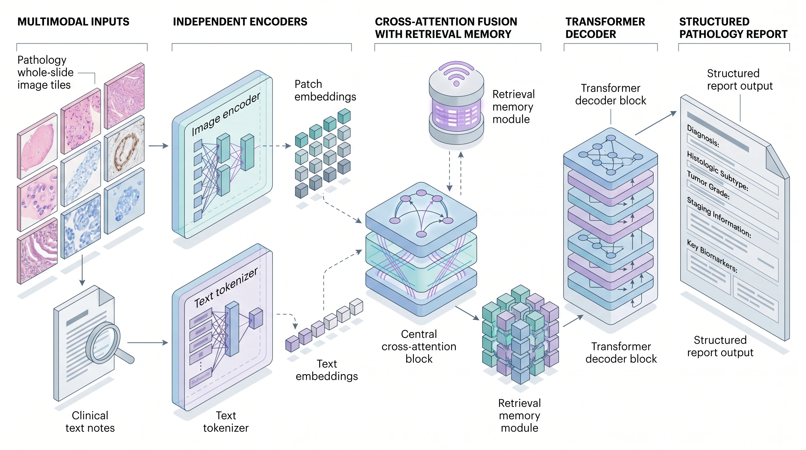 Multimodal Transformer for Pathology Report Generation