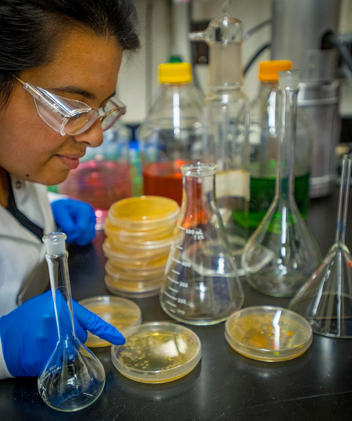 Real glass bioreactor vessels and culture flasks in a laboratory