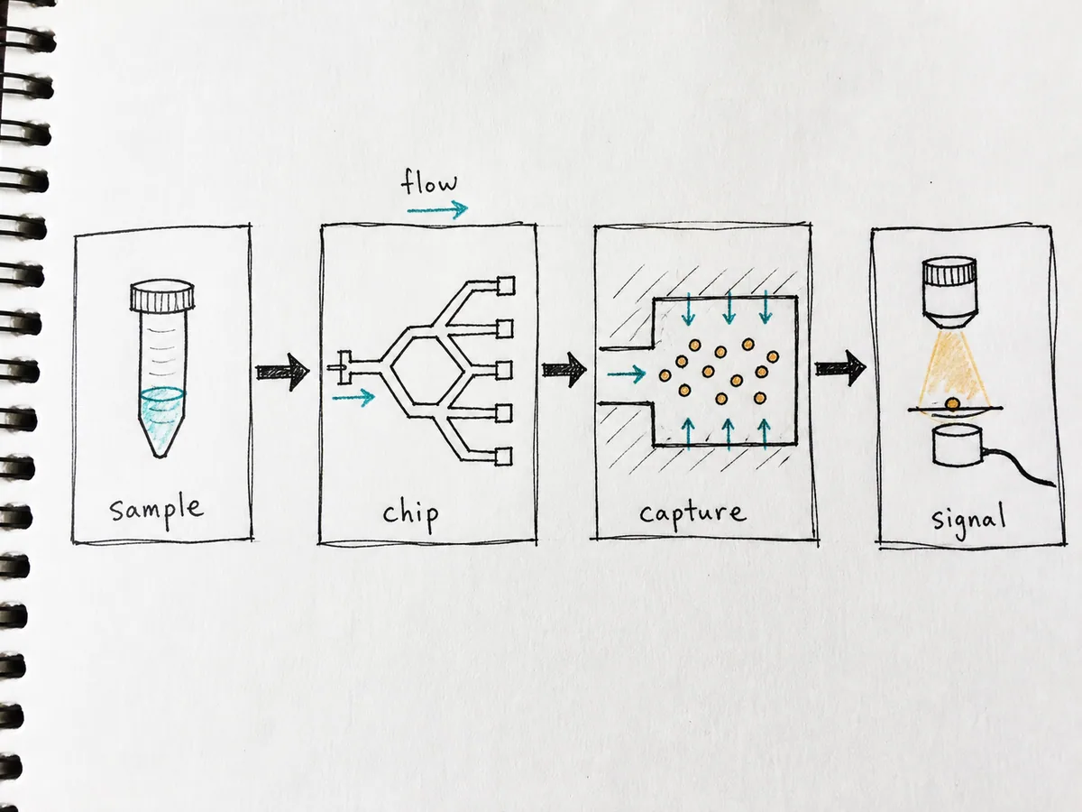 Rough hand-drawn sketch of a microfluidic assay workflow